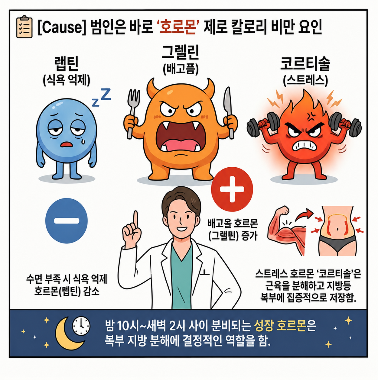 정상 체중 체지방 관련 내용을 쉽게 설명하는 내 몸 이야기 이미지 02