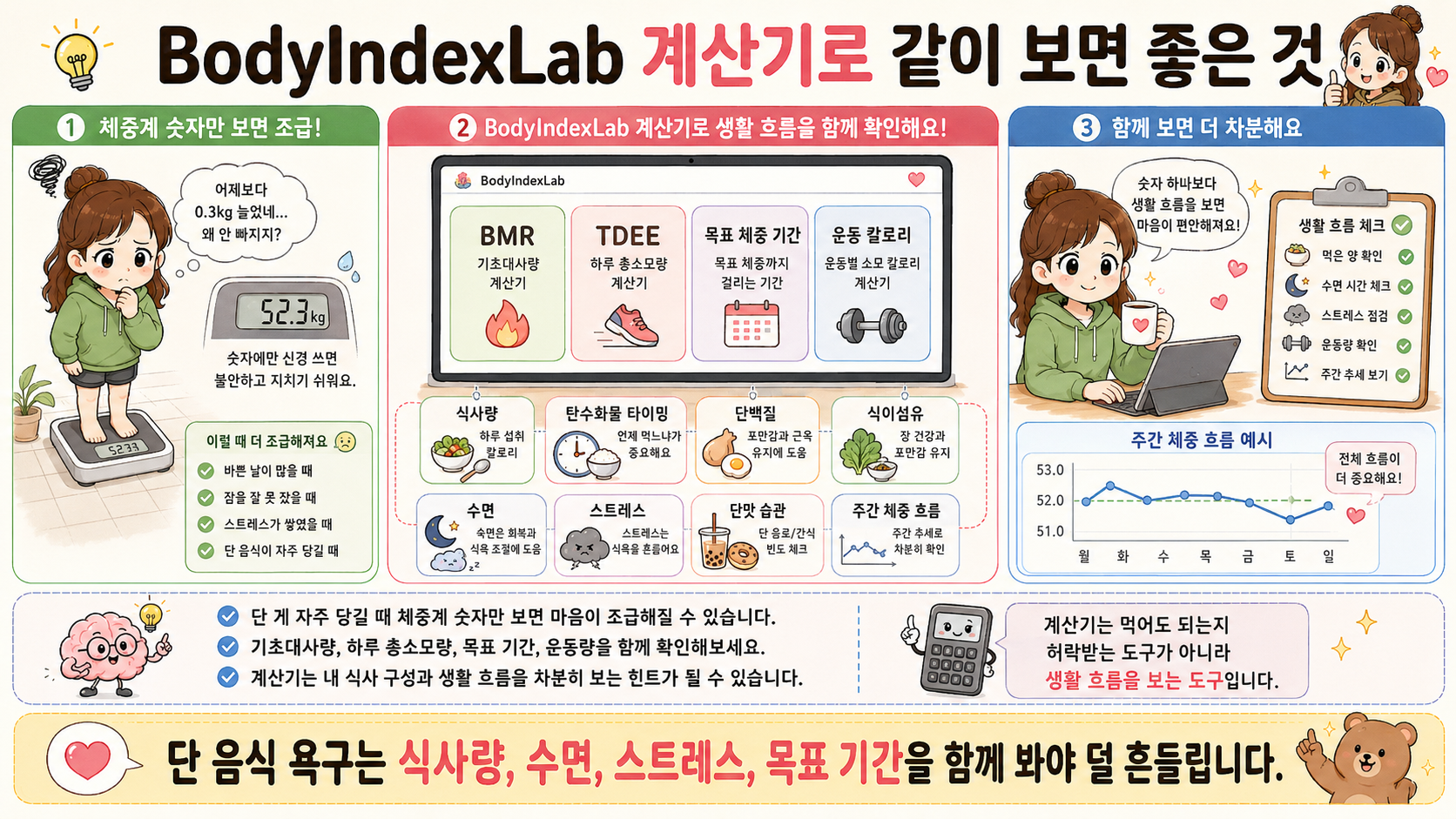 BodyIndexLab 계산기로 BMR, TDEE, 목표 기간, 식사 루틴을 함께 확인하는 대시보드 이미지