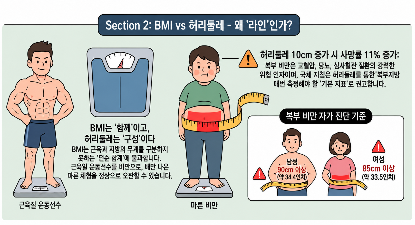 허리둘레 재는 법과 복부비만 체크 방법을 설명하는 내 몸 이야기 이미지 03